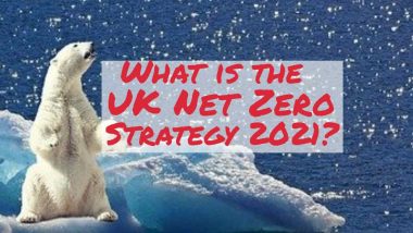 Image text: "What is the UK Net Zero Strategy?"