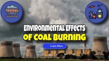 Image text: "Environmental Effects of Coal Burning".