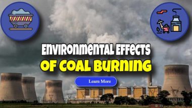 Image text: "Environmental Effects of Coal Burning".