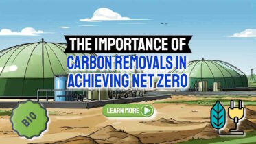 The importance of carbon removals