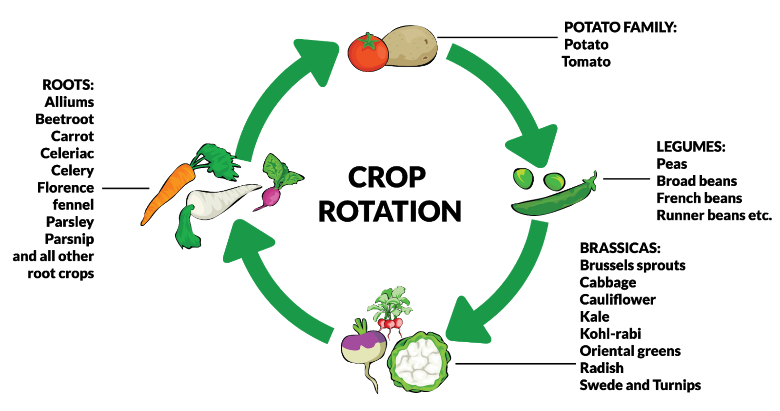 How to Transform your farm with low carbon practices! Crop Rotation